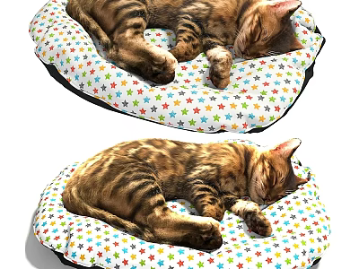 Two Tabby Cats Sleeping Peacefully On Colorful Star Pattern Pet Beds 3d model