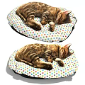 Two Tabby Cats Sleeping Peacefully On Colorful Star Pattern Pet Beds