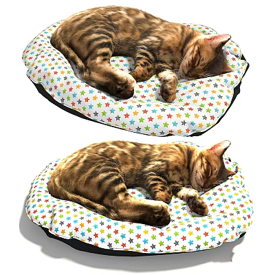 Two Tabby Cats Sleeping Peacefully On Colorful Star Pattern Pet Beds 3d model