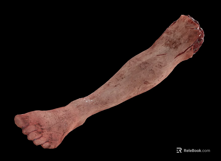 Realistic Human Leg Organ Model With Skin Texture And Hair Details 3d model 
