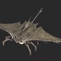 Prehistoric Flying Animal With Large Wings Long Tail And Sharp Claws