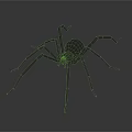Realistic Black Spider With Long Thin Legs On Dark Background