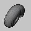 Detailed Natural Ivory Seashell With Textured Surface On Gray Background