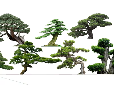Different Types of Arbor Trees With Unique Shapes Lush Foliage And Thick Trunks 3d model