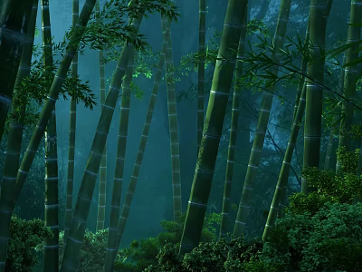 Dense Bamboo Forest with Tall Green Stems and Lush Foliage in Soft Natural Light 3d model