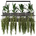 Lush Hanging Basket Plants With Multi Tiered Metal Frame And Cascading Foliage