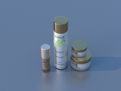 Facial Cleanser Facial Cleanser Cosmetics 3d model