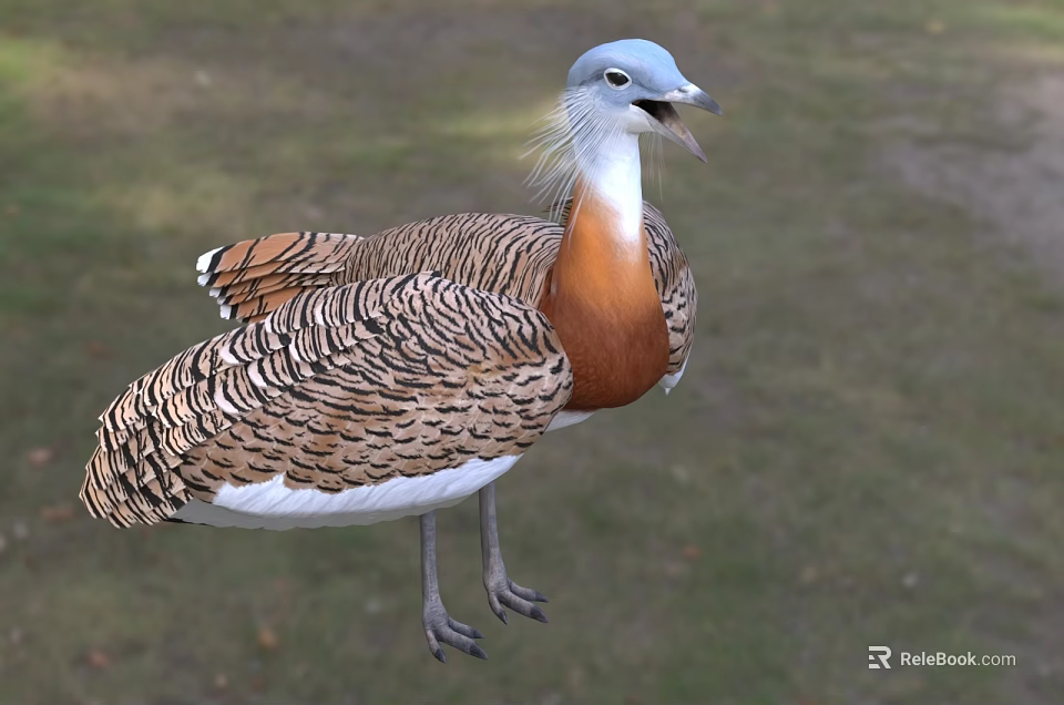 Vibrant Reptile With Blue Head And Brown White Scales Standing On Green Grass Field 3d model 