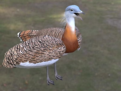 Vibrant Reptile With Blue Head And Brown White Scales Standing On Green Grass Field 3d model