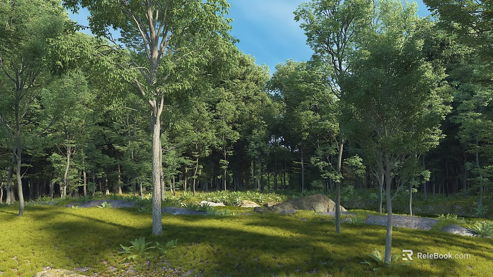 Bright Natural Forest Scenery With Lush Green Trees And Sunlit Lawn Under Clear Blue Sky 3d model 