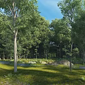 Bright Natural Forest Scenery With Lush Green Trees And Sunlit Lawn Under Clear Blue Sky