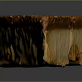Delicious Layered Cake Slice With Brown Top And Creamy Light Bottom
