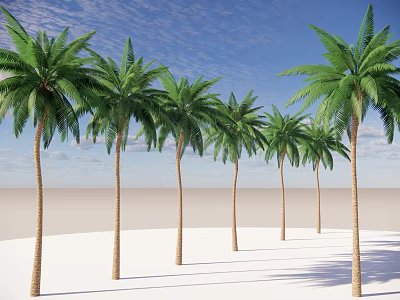 Tall Green Palm Trees Standing On White Sand Beach Under Blue Sky 3d model