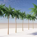 Tall Green Palm Trees Standing On White Sand Beach Under Blue Sky