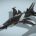 Black and White Fighter Jet With Serial Number 08803 And Emblems On Wings And Tail