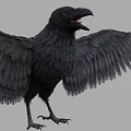 Detailed Black Crow with Spread Wings and Open Beak on Gray Background
