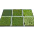 Six Square Green Grass Turf Samples Neatly Arranged In Rows 3d model