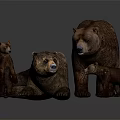 Family of Brown Bears Including Adults and Cubs Standing Lying and Walking Together