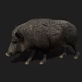 Realistic Wild Boar 3D Model With Detailed Fur Texture And Dark Background