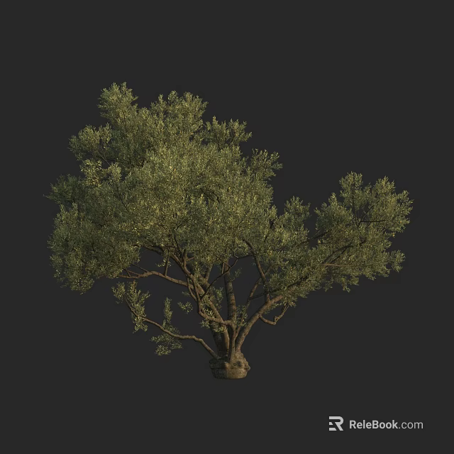 Lush Green Arbor With Dense Foliage Strong Trunk And Spreading Branches 3d model 