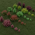 Various Colorful Bushes in Different Sizes on Lush Green Grass Field