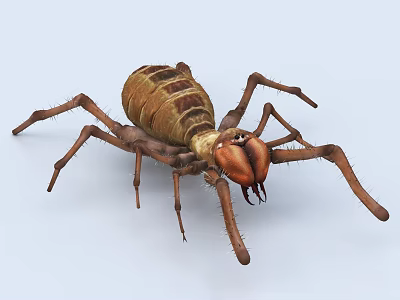 Detailed View Of Brown Aquatic Arthropod With Segmented Body And Multiple Legs 3d model