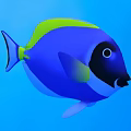 Vibrant Blue And Green Tropical Fish With Black Face Swimming In Blue Water