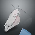 Anatomical 3D Model of Horse Skull Displaying Organ Structures and Hair Details