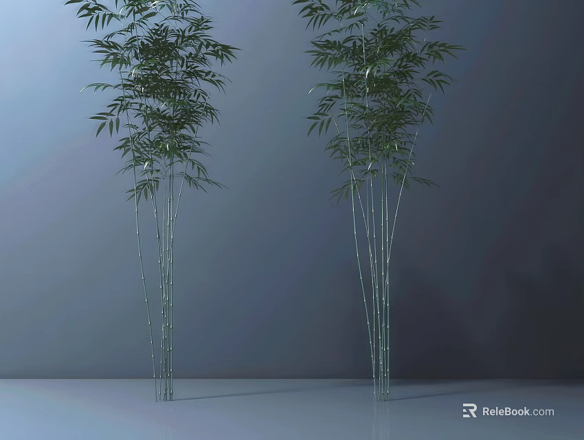 Tall Green Bamboo Plants With Slender Stems And Lush Leaves For Indoor Decor 3d model 
