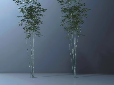 Tall Green Bamboo Plants With Slender Stems And Lush Leaves For Indoor Decor 3d model