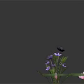 Vibrant Water Plants Featuring Pink Purple Lotus Yellow Flowers Green Leaves And Hydrangea