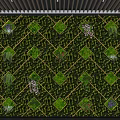 Indoor Living Green Plant Wall With Grid Pattern And Various Greenery Decor Design