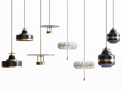 Modern Pendant Lights With Various Designs And Different Styles In Black White And Metallic Finishes 3d model