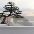 Tranquil Outdoor Landscape With Pine Tree White Wall Water Feature Stone Pavement And Sunset Sky