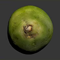 Fresh Whole Green Coconut Tropical Fruit With Yellow Top On Gray Background