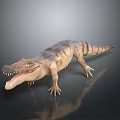 Realistic Crocodile 3D Model With Open Mouth Sharp Teeth And Striped Skin 3d model