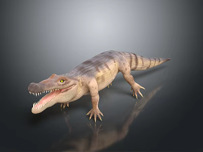 Realistic Crocodile 3D Model With Open Mouth Sharp Teeth And Striped Skin 3d model