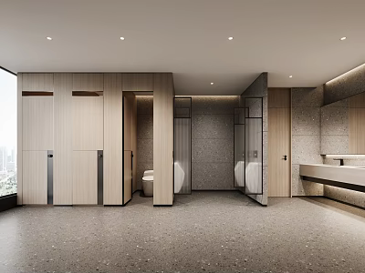 Modern Public Restroom Interior Design With Partitions Toilets And Vanity 3d model