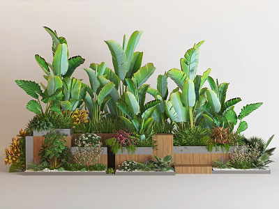 Layered Plant Combination With Lush Green Foliage And Decorative Wooden Planters 3d model