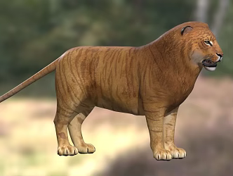 Lions and tigers animals 3d model