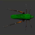 Mechanical Insect With Green Body And Orange Brown Metal Legs Red Eyes