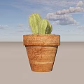 Green Cactus Potted Plant in Rustic Terracotta Pot for Indoor Decor