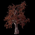 Deciduous Tree With Brown Leaves Thick Trunk And Branches On Black Background 3d model