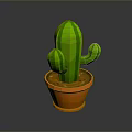 Vibrant Green Cactus Plant in Orange Pot with Soil on Gray Surface