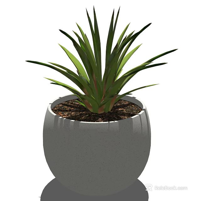 Potted Plant With Green Slender Leaves In Modern Gray Textured Pot 3d model 