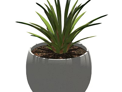 Potted Plant With Green Slender Leaves In Modern Gray Textured Pot 3d model