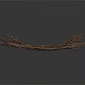 Plant Dried Brown Branches Natural Organic Pile For Decorative Craft Use
