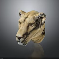 Detailed Light Brown Lion Head Sculpture On Dark Background With Reflection 3d model