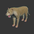 Standing Light Brown Lion With Open Mouth And Dark Background Reflection