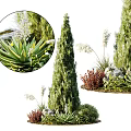 Diverse Ornamental Shrubs Including Coniferous And Red Leaf Varieties With White Flower Spikes And Stones